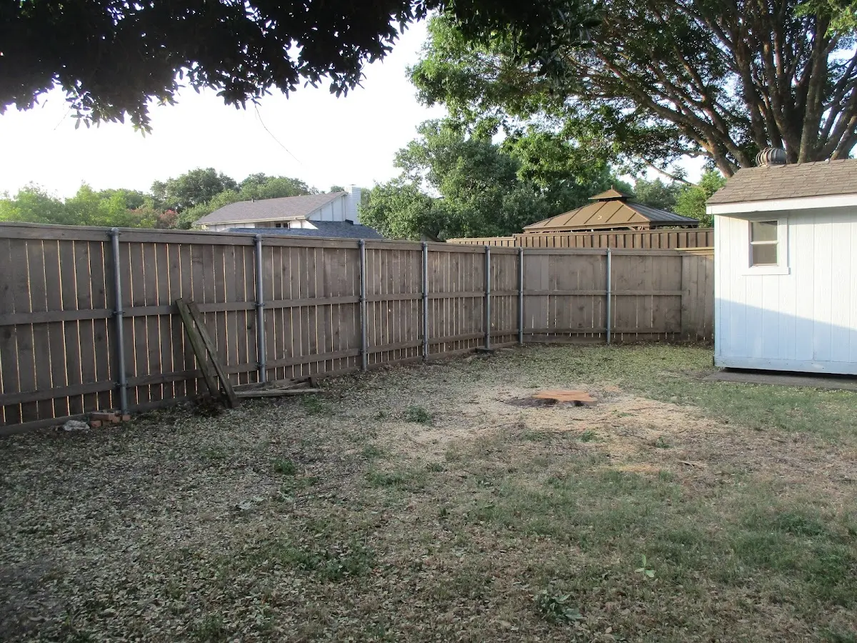 Cleared yard after professional tree removal in Harrisonville